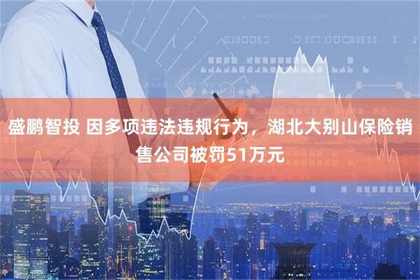 盛鹏智投 因多项违法违规行为，湖北大别山保险销售公司被罚51万元