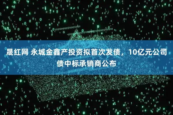 晟红网 永城金鑫产投资拟首次发债，10亿元公司债中标承销商公布