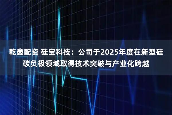 乾鑫配资 硅宝科技：公司于2025年度在新型硅碳负极领域取得技术突破与产业化跨越
