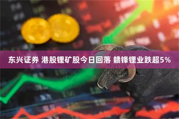 东兴证券 港股锂矿股今日回落 赣锋锂业跌超5%